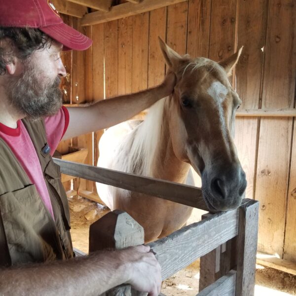 Pioneer Farms Horse